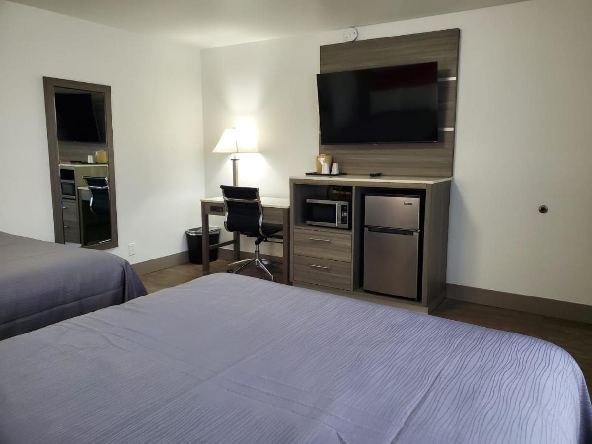 Money Saver Torre di Newport